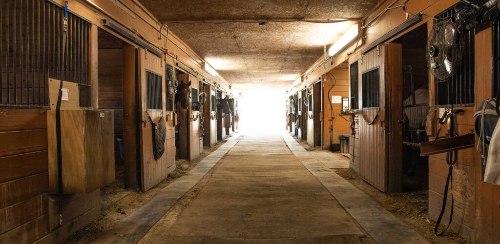 johnson-equestrian-stables